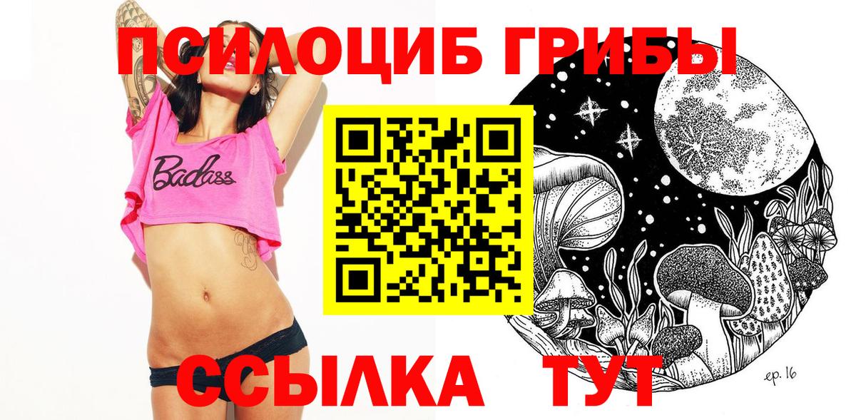 Симферополь  Галлюциногенные грибы Psilocybe  Вход с VPN  Псилоцибиновые грибы Psilocybe 